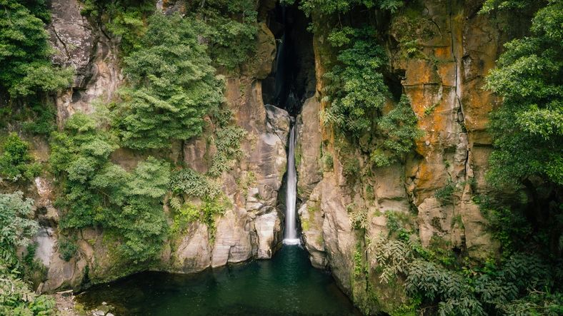 Serene waterfall surrounded by lush greenery